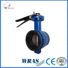 Economical double flanged double eccentric butterfly valve